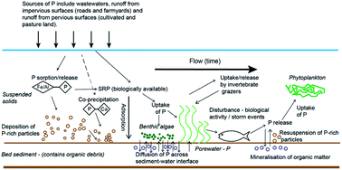 Graphical abstract: Physico-chemical factors controlling the speciation of phosphorus in English and Welsh rivers