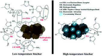 Graphical abstract: Sorption of sulfamethoxazole on biochars of varying mineral content