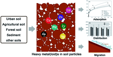 Graphical abstract: Effects of soil particle size on the adsorption, distribution, and migration behaviors of heavy metal(loid)s in soil: a review