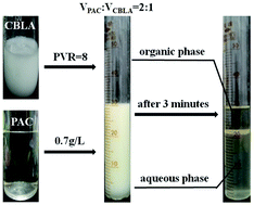 Graphical abstract: Colloidal biliquid aphron demulsification using polyaluminum chloride and density modification of DNAPLs: optimal conditions and common ion effect