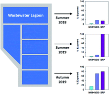 Graphical abstract: Fate of bioavailable nutrients released to a stream during episodic effluent releases from a municipal wastewater treatment lagoon