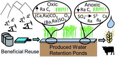 Graphical abstract: Oil & gas produced water retention ponds as potential passive treatment for radium removal and beneficial reuse