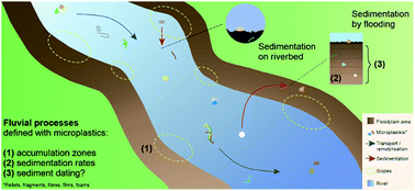 Graphical abstract: Why analysing microplastics in floodplains matters: application in a sedimentary context
