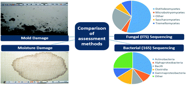 Graphical abstract: Associations of observed home dampness and mold with the fungal and bacterial dust microbiomes