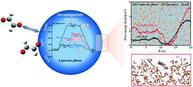 Graphical abstract: Enhanced uptake of glyoxal at the acidic nanoparticle interface: implications for secondary organic aerosol formation