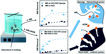 Graphical abstract: Graphene oxide sponge as adsorbent for organic contaminants: comparison with granular activated carbon and influence of water chemistry