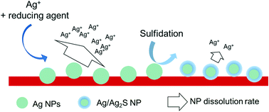 Graphical abstract: Prolonging the antibacterial activity of nanosilver-coated membranes through partial sulfidation
