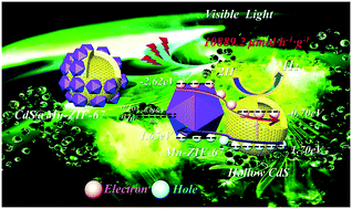 Graphical abstract: Integrating Mn-ZIF-67 on hollow spherical CdS photocatalysts forming a unique interfacial structure for the efficient photocatalytic hydrogen evolution and degradation under visible light