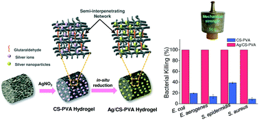 Graphical abstract: Hierarchically aligned nano silver/chitosan–PVA hydrogel for point-of-use water disinfection: contact-active mechanism revealed