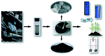 Graphical abstract: Nanobiochar: production, properties, and multifunctional applications