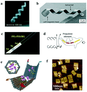 Graphical abstract: Environmental and health risks of nanorobots: an early review