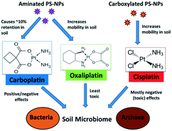 Graphical abstract: Effect of nanoplastics on the transport of platinum-based pharmaceuticals in water-saturated natural soil and their effect on a soil microbial community