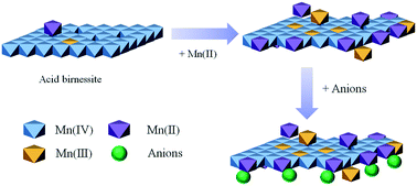 Graphical abstract: Coupled effects of Mn(ii), pH and anionic ligands on the reactivity of nanostructured birnessite