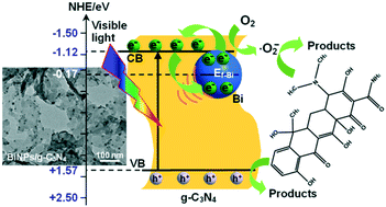 Graphical abstract: Facile fabrication of Bi nanoparticle-decorated g-C3N4 photocatalysts for effective tetracycline hydrochloride degradation: environmental factors, degradation mechanism, pathways and biotoxicity evaluation