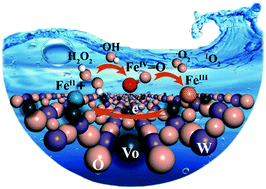 Graphical abstract: Oxygen vacancy modulated interface chemistry: identifying iron(iv) in heterogeneous Fenton reaction