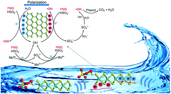 Graphical abstract: Piezoelectric activation of peroxymonosulfate by MoS2 nanoflowers for the enhanced degradation of aqueous organic pollutants
