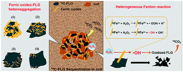 Graphical abstract: Fate of 14C-labeled few-layer graphene in natural soils: competitive roles of ferric oxides