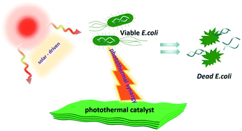 Graphical abstract: The photothermal synergy effect of pure Ti3C2Tx in antibacterial reaction and its mechanism