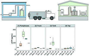 Graphical abstract: Microbiological water quality in a decentralized Arctic drinking water system