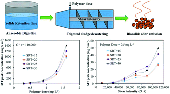 Graphical abstract: Effects of anaerobic digester solids retention time on odor emission and dewaterability of biosolids subjected to various shear intensities, polymer doses, and storage duration times