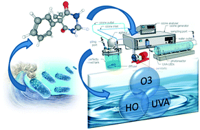 Graphical abstract: Kinetic model basis of ozone/light-based advanced oxidation processes: a pseudoempirical approach