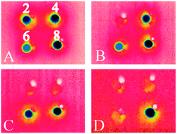 Graphical abstract: A thermal imaging methodology to study evaporation kinetics in mine tailings