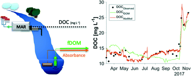 Graphical abstract: Evaluating the accuracy of two in situ optical sensors to estimate DOC concentrations for drinking water production