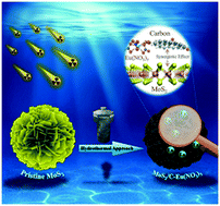 Graphical abstract: Synthesis of a flower-like MoS2/carbon nanocomposite with enhanced adsorption performance toward Eu(iii): the cooperative effects between S atoms and carboxyl groups