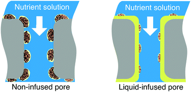 Graphical abstract: Application of liquid-infused membranes to mitigate biofouling