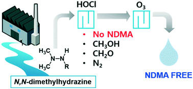 Graphical abstract: Chlorination of N,N-dimethylhydrazine compounds: reaction kinetics, mechanisms, and implications for controlling N-nitrosodimethylamine formation during ozonation