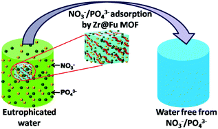 Graphical abstract: Facile fabrication of tunable porous zirconium fumarate based metal organic frameworks in the retention of nutrients from water