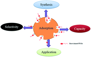 Graphical abstract: Adsorption of short-chain perfluoroalkyl acids (PFAAs) from water/wastewater