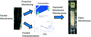 Graphical abstract: Dynamic monitoring and proactive fouling management in a pilot scale gas-sparged anaerobic membrane bioreactor