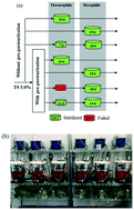 Graphical abstract: Repurposing pre-pasteurization as an in situ thermal hydrolysis pretreatment process for enhancing anaerobic digestion of municipal sludge: a horizontal comparison between temperature-phased and standalone thermophilic or mesophilic anaerobic digestion