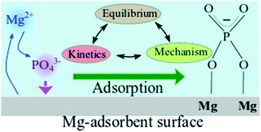 Graphical abstract: A review of phosphate adsorption on Mg-containing materials: kinetics, equilibrium, and mechanistic insights