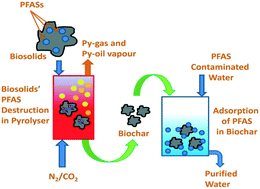 Graphical abstract: Removal of PFASs from biosolids using a semi-pilot scale pyrolysis reactor and the application of biosolids derived biochar for the removal of PFASs from contaminated water