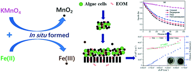 Graphical abstract: Algae-laden water treatment with ultrafiltration: effects of moderate oxidation by Fe(ii)/permanganate on hydraulically irreversible fouling and deposition of iron and manganese oxides