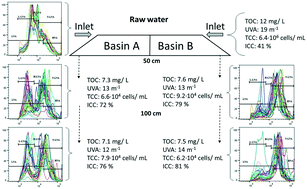 Graphical abstract: Water quality changes during the first meter of managed aquifer recharge