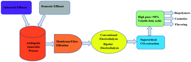 Graphical abstract: A techno-economic case for volatile fatty acid production for increased sustainability in the wastewater treatment industry