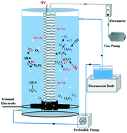 Graphical abstract: Degradation of pharmaceutical contaminants by bubbling gas phase surface discharge plasma combined with g-C3N4 photocatalysis