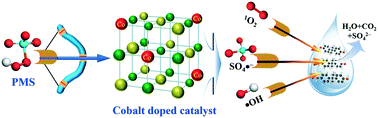 Graphical abstract: Utilizing cobalt-doped materials as heterogeneous catalysts to activate peroxymonosulfate for organic pollutant degradation: a critical review