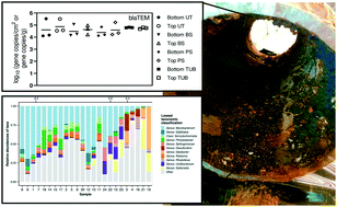 Graphical abstract: Cast iron drinking water pipe biofilms support diverse microbial communities containing antibiotic resistance genes, metal resistance genes, and class 1 integrons