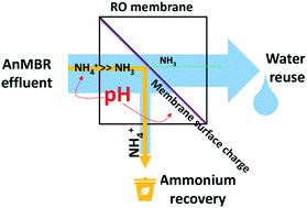 Graphical abstract: Optimization of reverse osmosis operational conditions to maximize ammonia removal from the effluent of an anaerobic membrane bioreactor