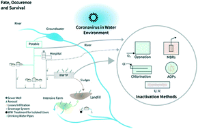 Graphical abstract: Editorial Perspectives: 2019 novel coronavirus (SARS-CoV-2): what is its fate in urban water cycle and how can the water research community respond?