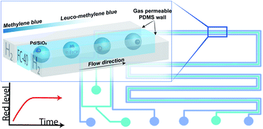 Graphical abstract: Single catalyst particle diagnostics in a microreactor for performing multiphase hydrogenation reactions