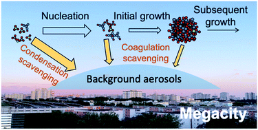 Graphical abstract: Formation and growth of sub-3 nm particles in megacities: impact of background aerosols