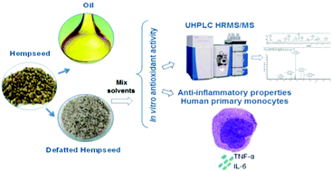 Graphical abstract: Characterization of bioactive compounds in defatted hempseed (Cannabis sativa L.) by UHPLC-HRMS/MS and anti-inflammatory activity in primary human monocytes