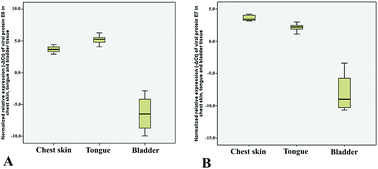 Graphical abstract: Ptaquiloside from bracken (Pteridium spp.) promotes oral carcinogenesis initiated by HPV16 in transgenic mice