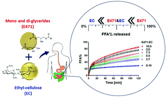 Graphical abstract: Controlling lipid intestinal digestibility using various oil structuring mechanisms