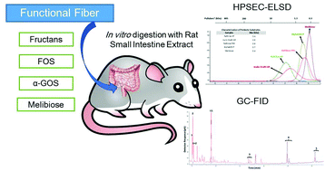 Graphical abstract: Evaluation of the impact of a rat small intestinal extract on the digestion of four different functional fibers